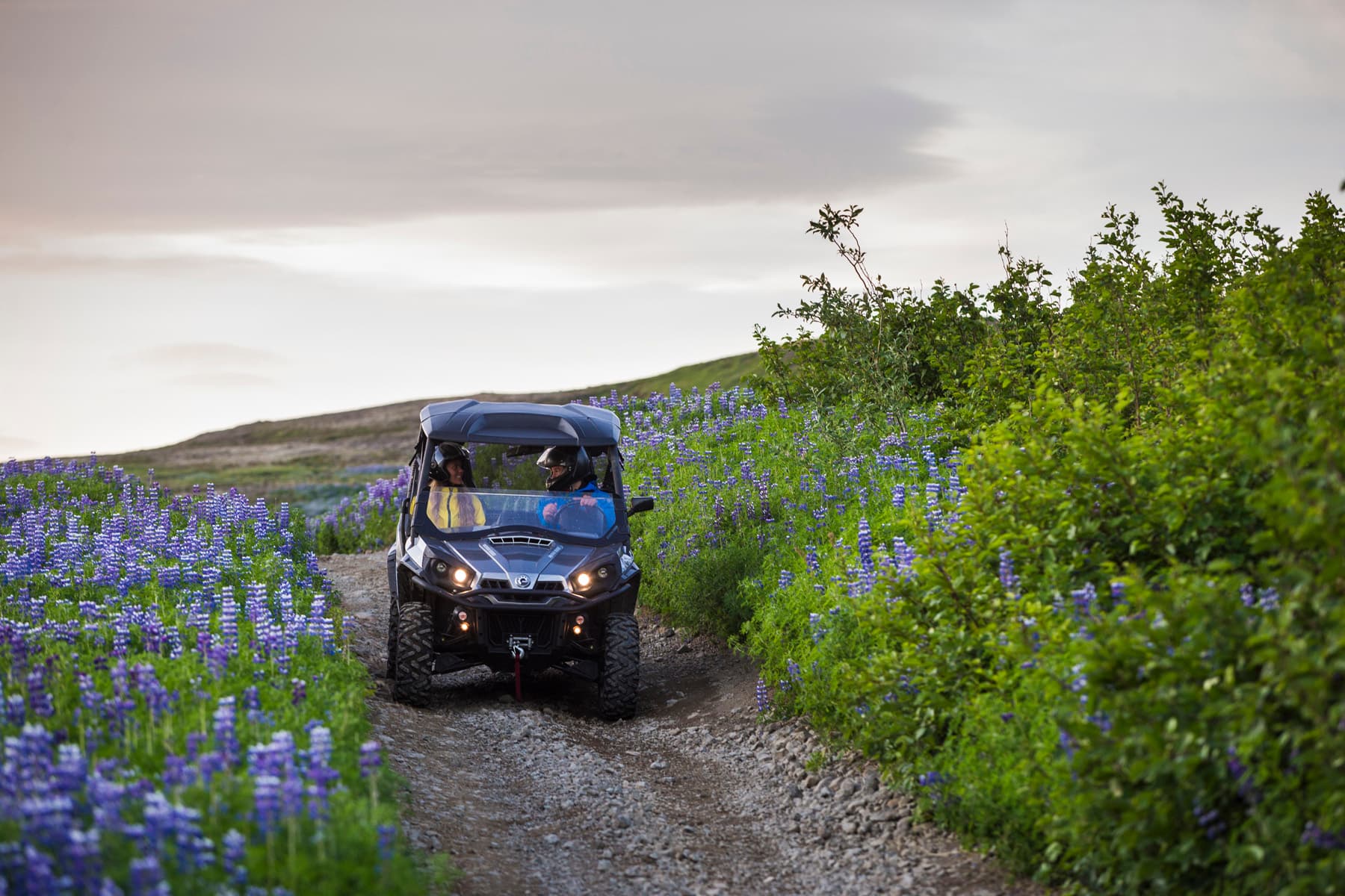 Buggy & Golden Circle