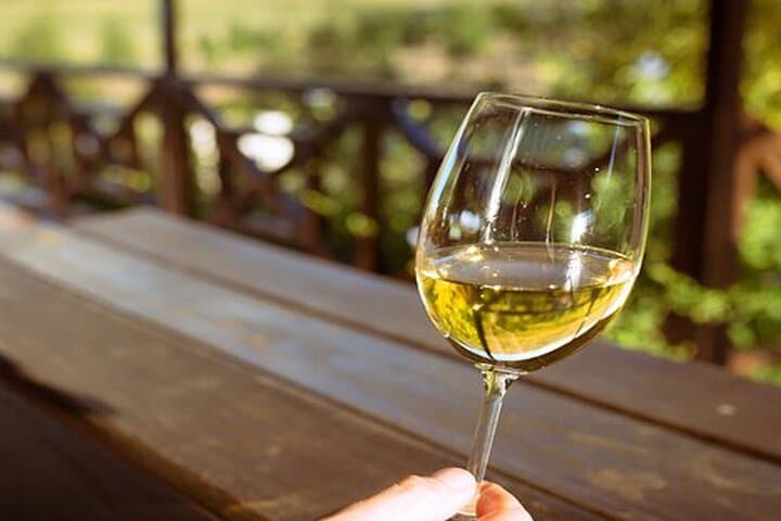 8 Hours Private Wine Tasting Tour in Stellenbosch to Franchhoek