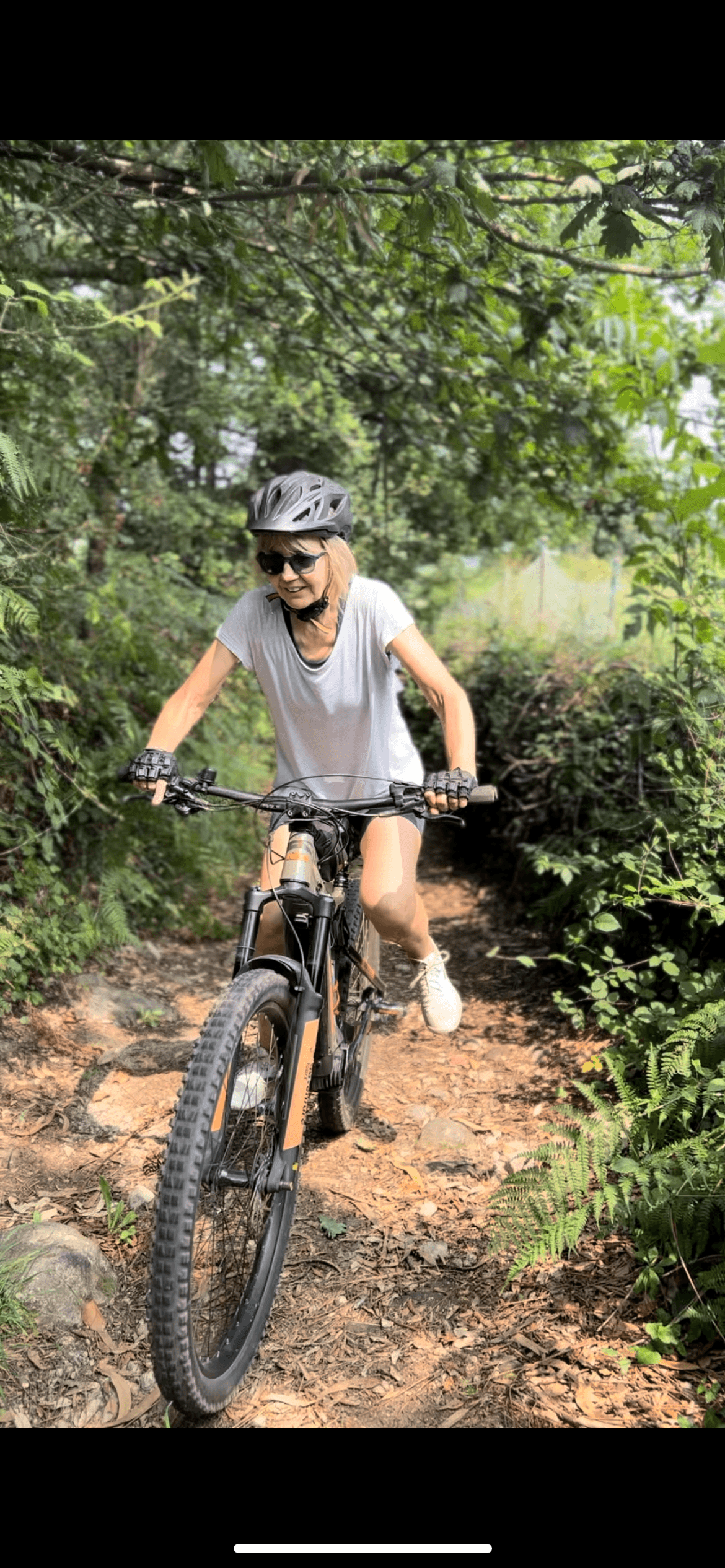 E-Bike Guided Tour - Route of the Viewpoints and Enchanted Forests