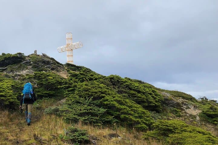 Fjords & Headlands Hike + Zodiac Boat Tour