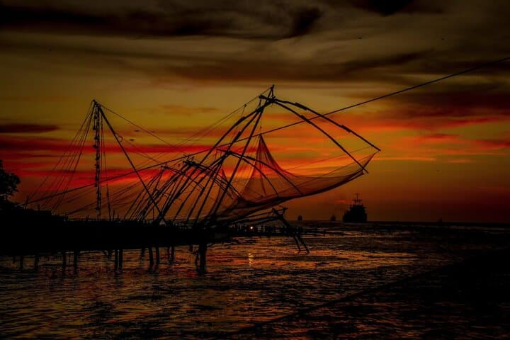 Cochin to Madurai the Backwater, Tea Estate & Temple Tour