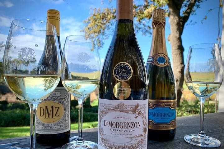 Cape Winelands Private Tour to Stellenbosch and Franschhoek