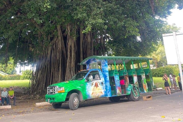 Roseau Dominica Safari Adventure: Rainforest, Falls & Karaoke