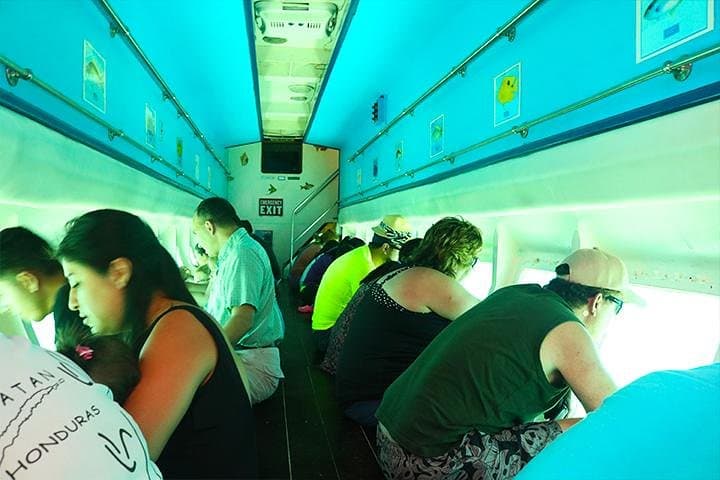 Glass Bottom Boat, Sloth - Monkey Park & West Bay Beach 