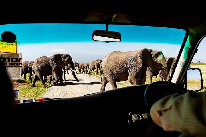 2-Day Amboseli National Park Safari- Daily Departures