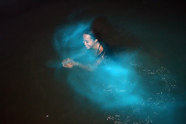 Luminous lagoons Private Nights Tours From Montego Bay 