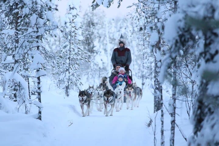 Full Day 35KM Self Driven Husky Sled Adventure in Rovaniemi