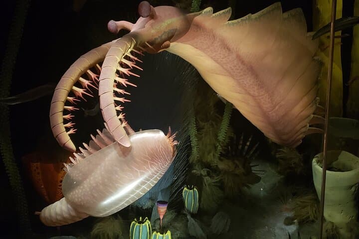 1 Day Guided Drumheller Tour: Calgary to Dinosaur Badlands