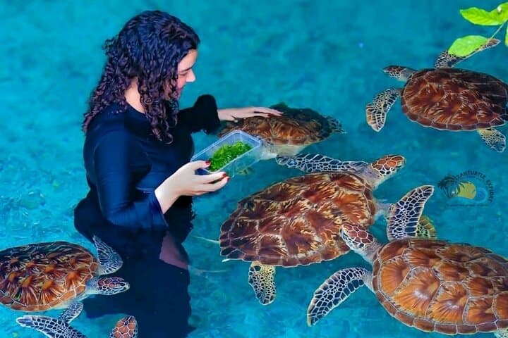 Zanzibar Jozani Forest, Salaam Cave Turtles & The Rock Restaurant