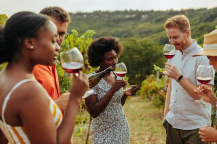 Novisad Ethnic Village Serbian Wine Tasting Tour