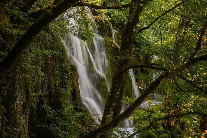 From Split: Discover Plitvice Lakes~Guided Group Adventure Awaits