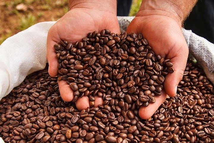 Coffee Tour, Grecia and Sarchi Oxcarts. Private Tour