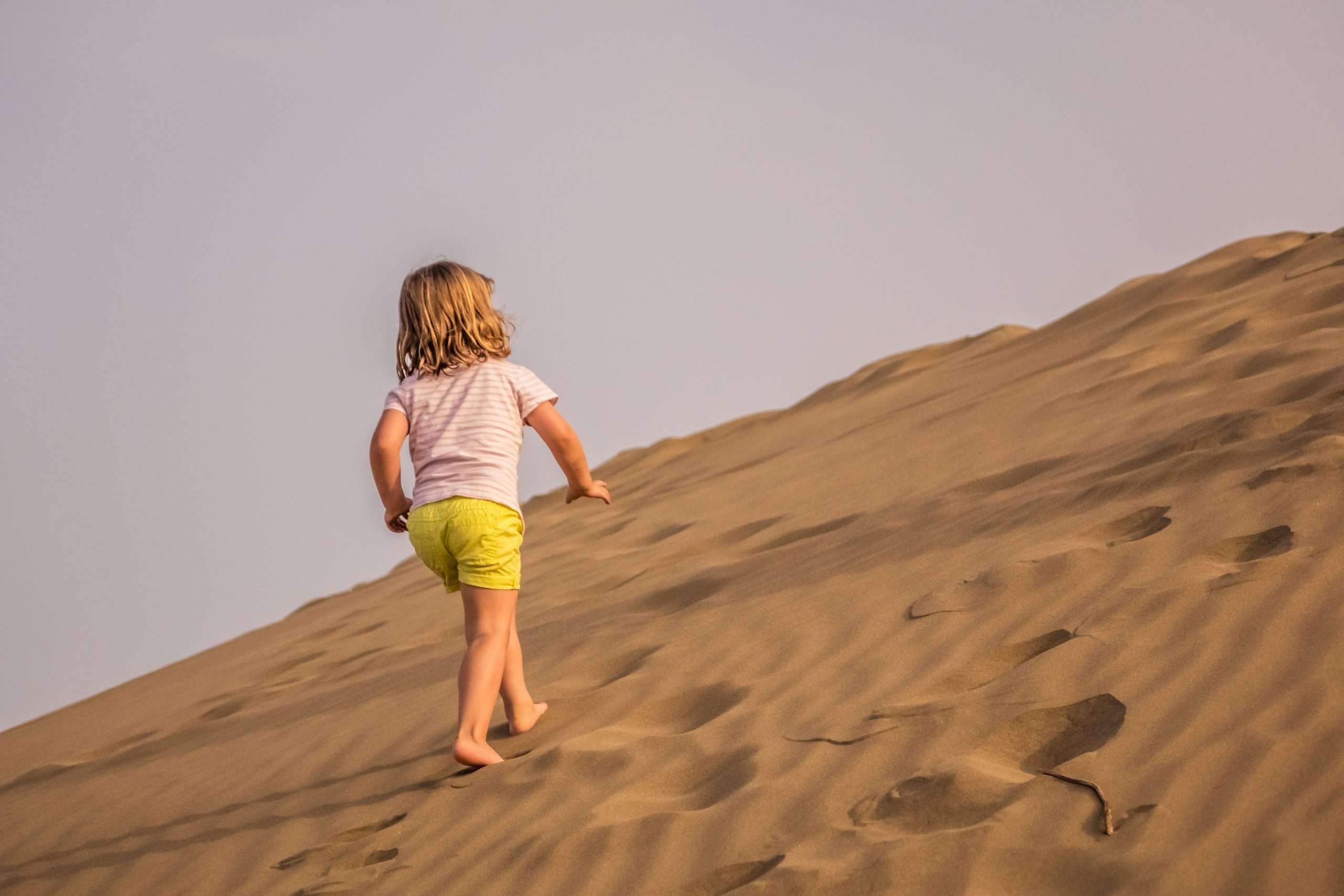 Full Day Desert Safari with Dinner or Lunch