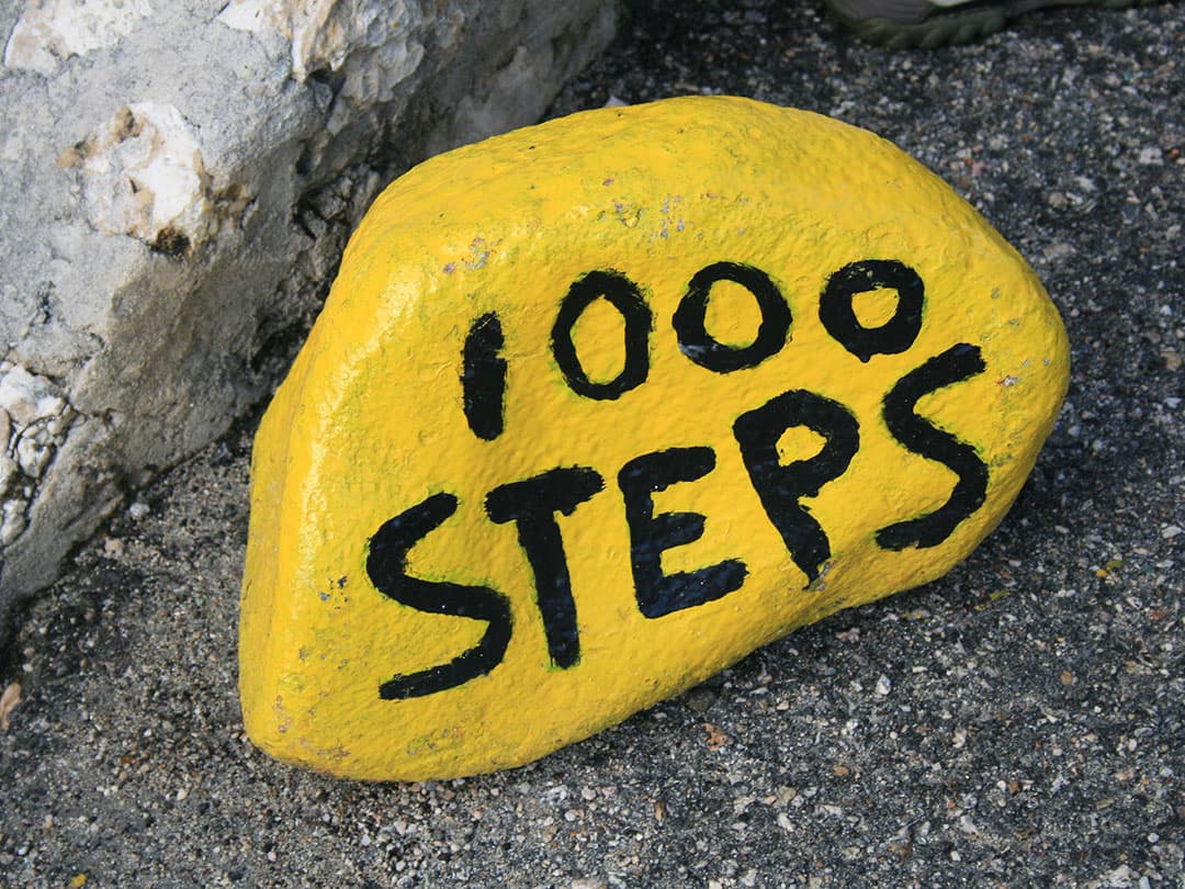 North Tour with Local Guide