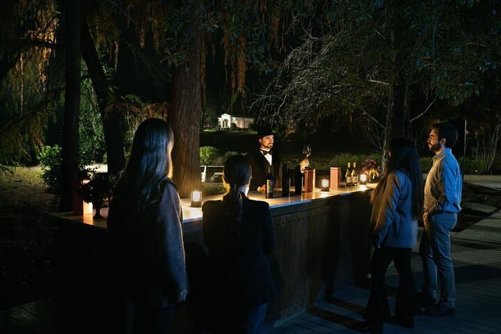 Experiencia Nocturna Casillero del Diablo + Cena