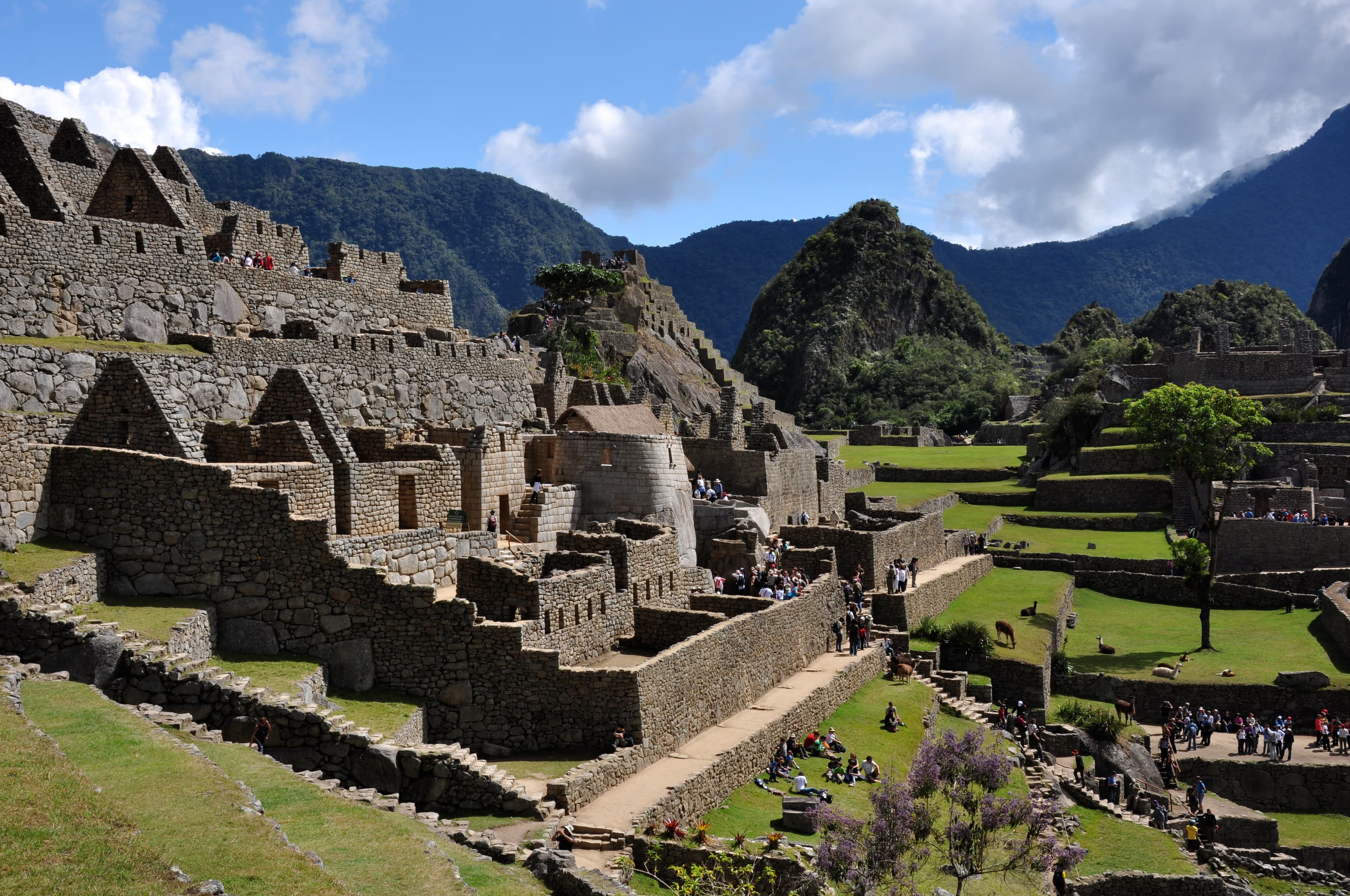 Machu Picchu Day Trip from Cusco