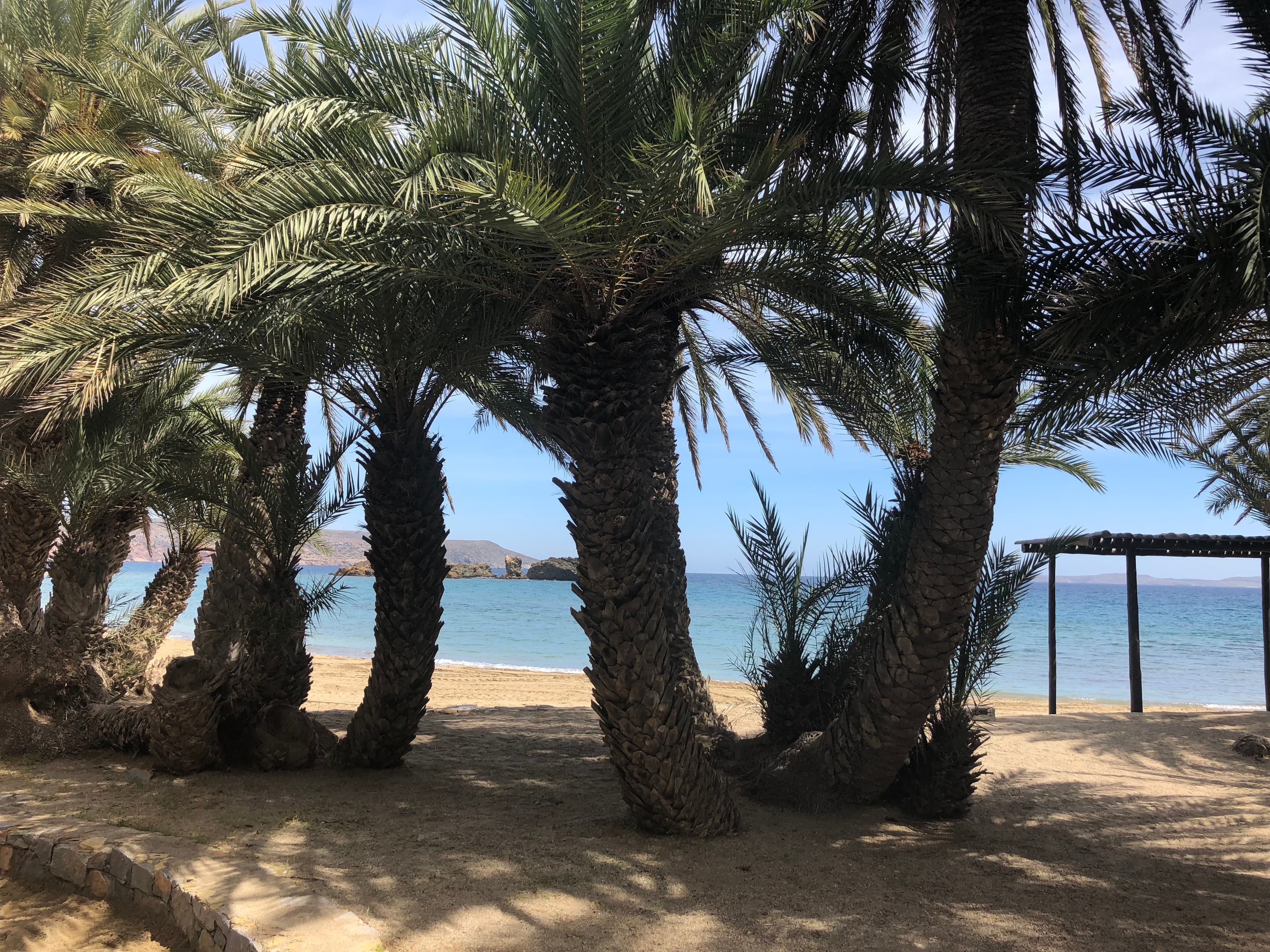 Vai Beach and Toplu Monastery VIP Luxury Private Tour - Full Day