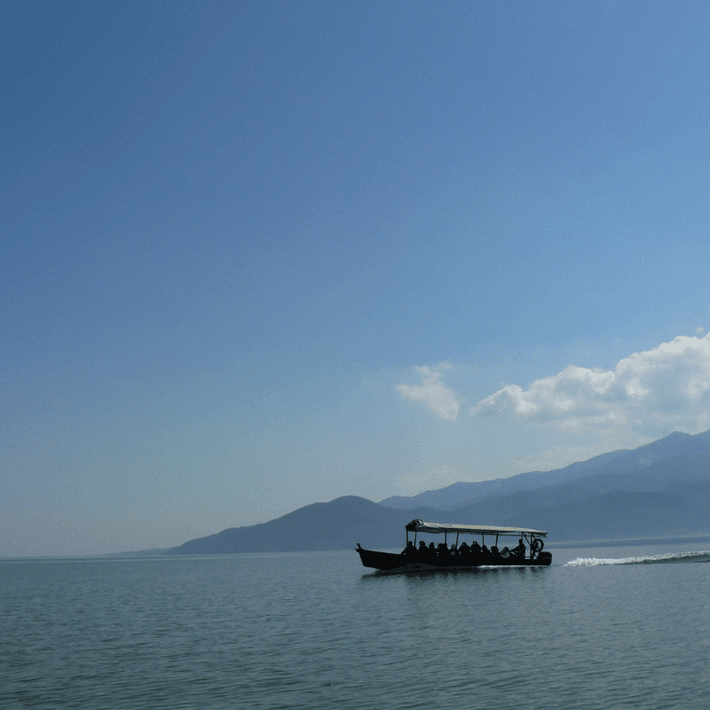 Private Day Trip to Kerkini Lake