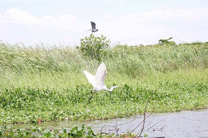 Monterrico National Park and Beaches from Quetzal Port