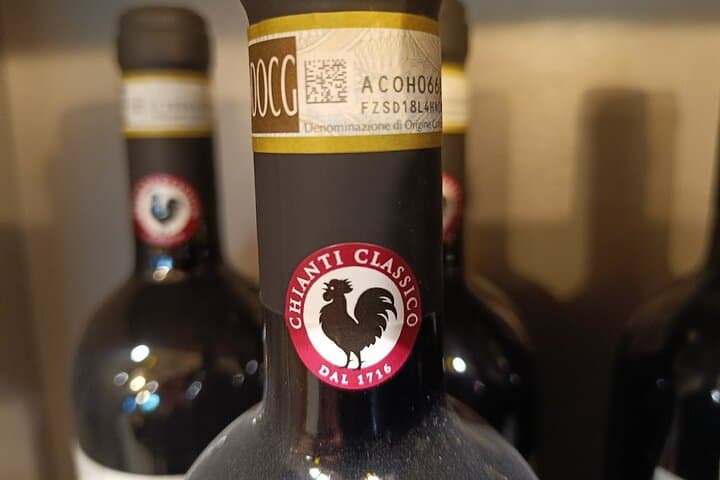 "Good Morning Chianti Classico" - Tour in 2 wineries with lunch