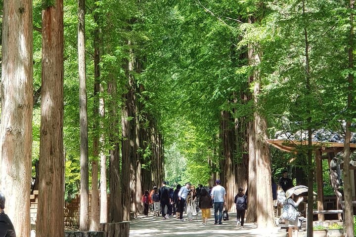 Private Tour including Nami Island with attractions in Seoul