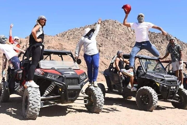 Super Safari Quad Car Buggy Camel Bedouin Dinner Show in Hurghada