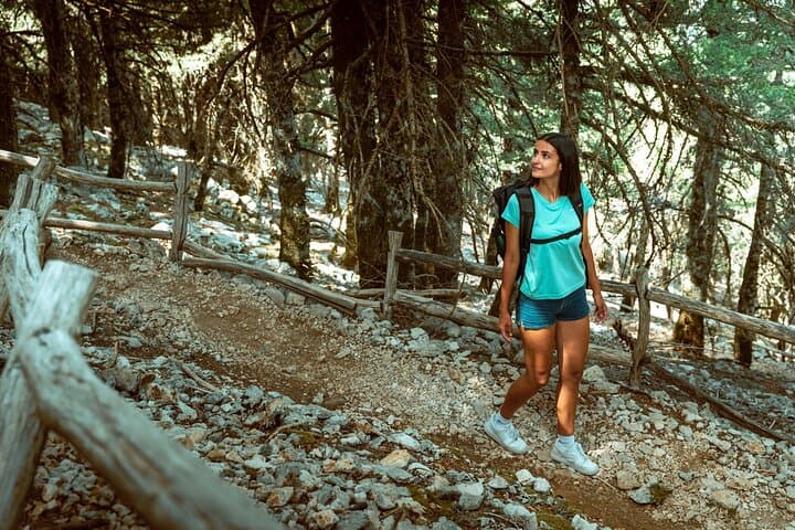 Kefalonia 4x4 Adventure: Mount Ainos & Omala Valley Premium Van Experience