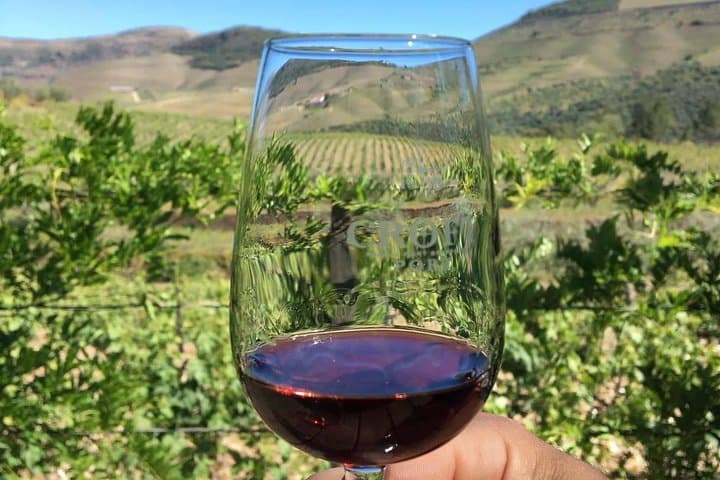 Day Trip Through the Enchanting Douro Valley #DuckSideOfPorto