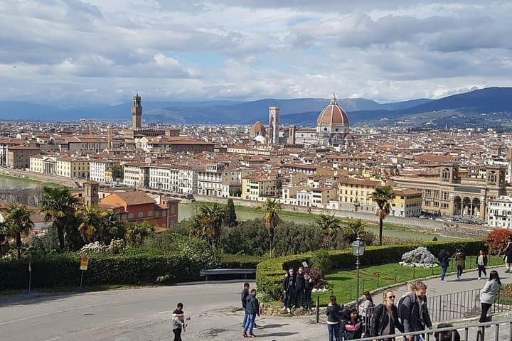 Florence and Pisa Luxury Private Tour: Mercedes Comfort from Rome