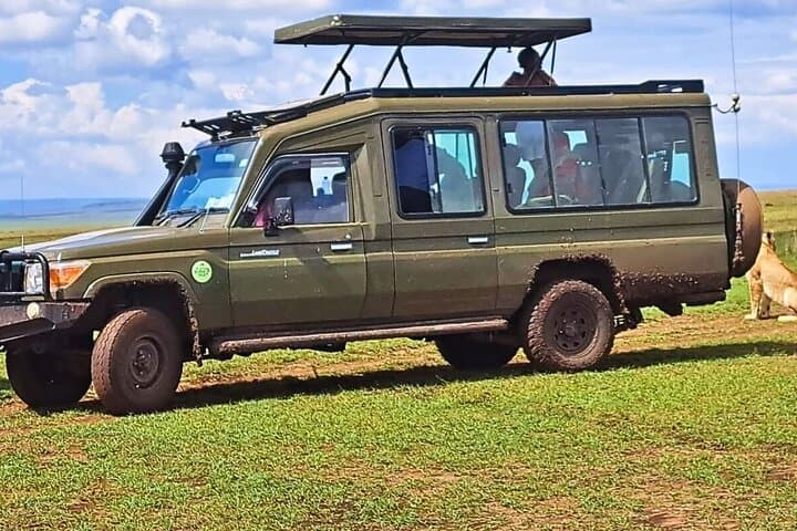 4-Day Amazing L Nakuru L Naivasha Hells Gate Birds Kenya Safari