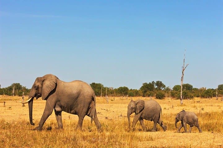 3 Days, 2 Nights Safari - Amboseli National Park and Tsavo West Adventure Safari