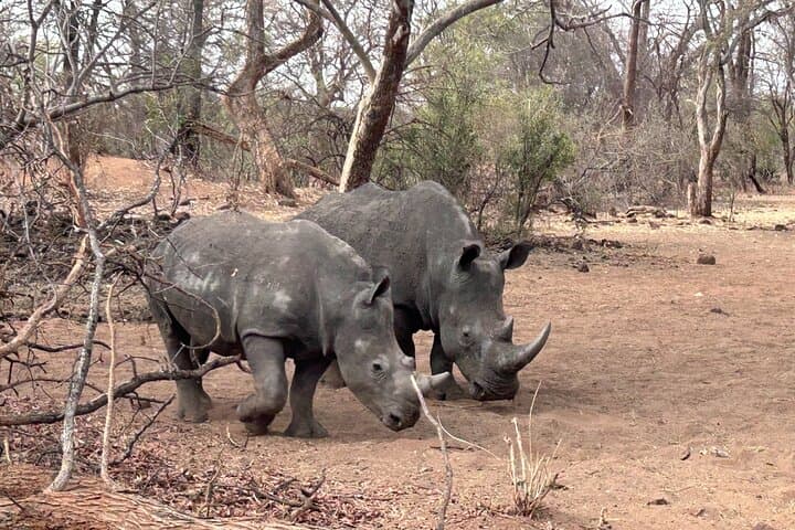 3-Days Adventure and Cultural package with Lunch