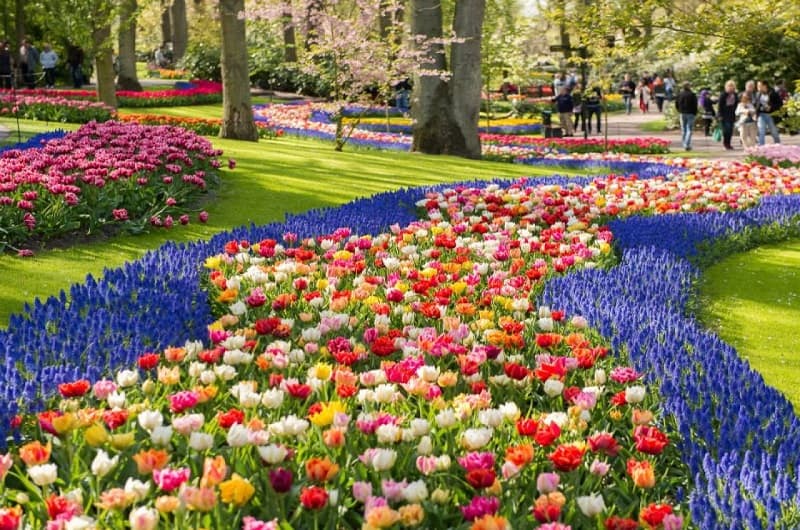 Keukenhof, Zaanse Schans and Volendam Day Tour from Amsterdam