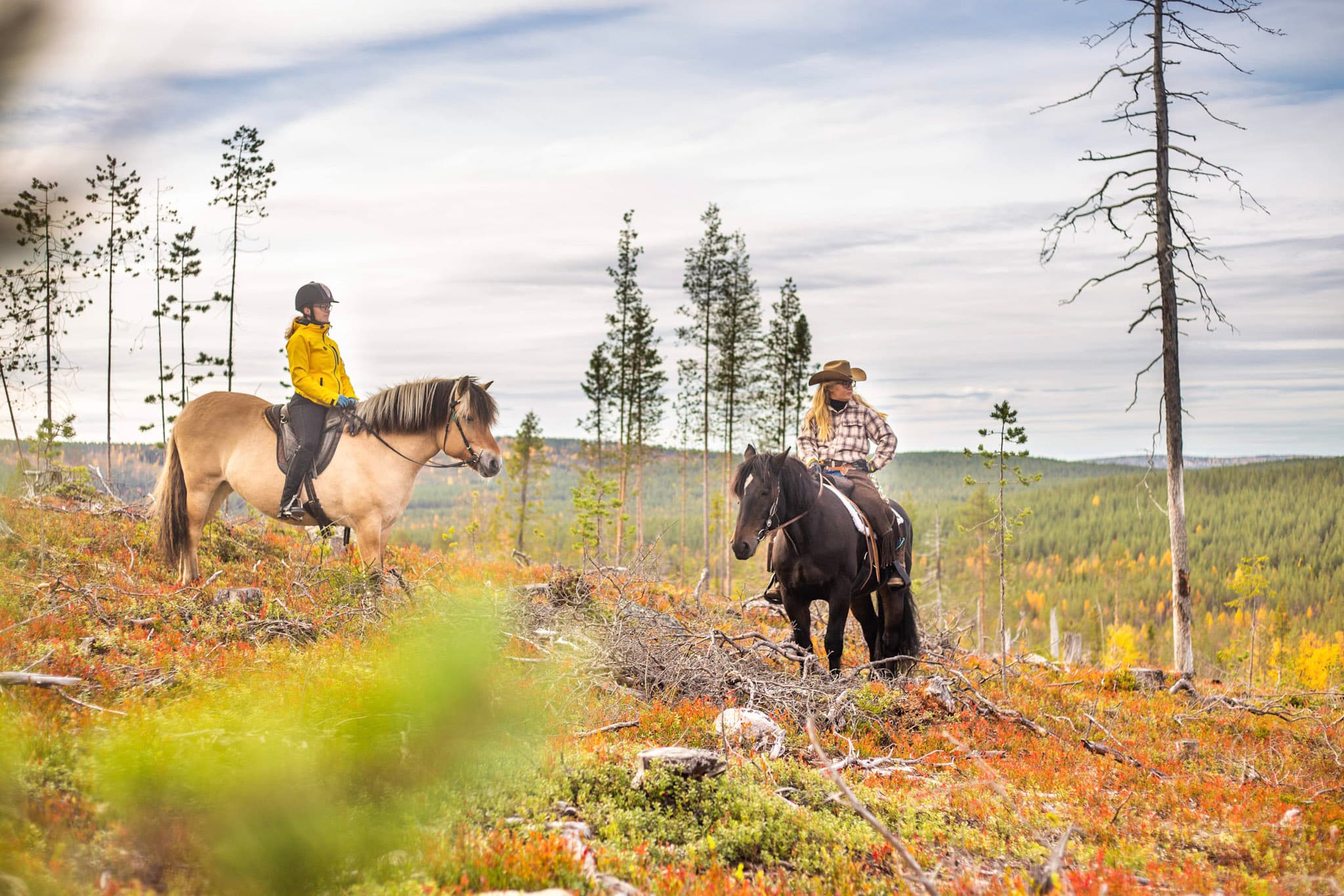 Horse ride to the Haukivaara (ADVANCED ONLY)