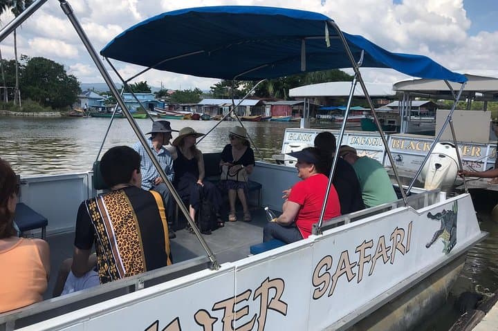 YS Falls & Black River Safari (From Montego Bay) Private