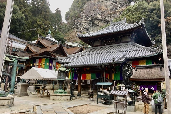 Full-Day Private Guided Tour to a Japanese Mountain: Ikoma