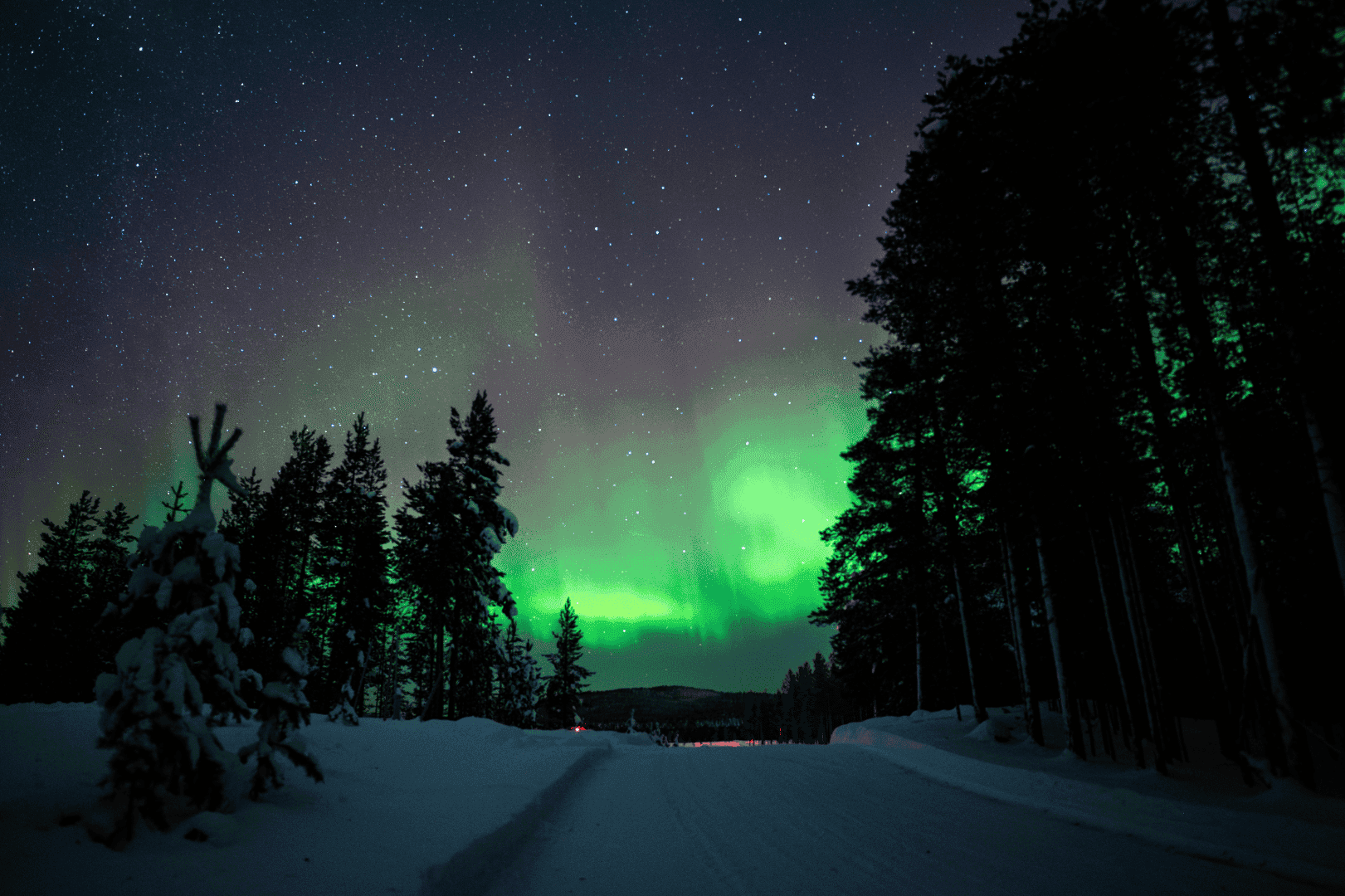 Aurora Hunting by Minivan