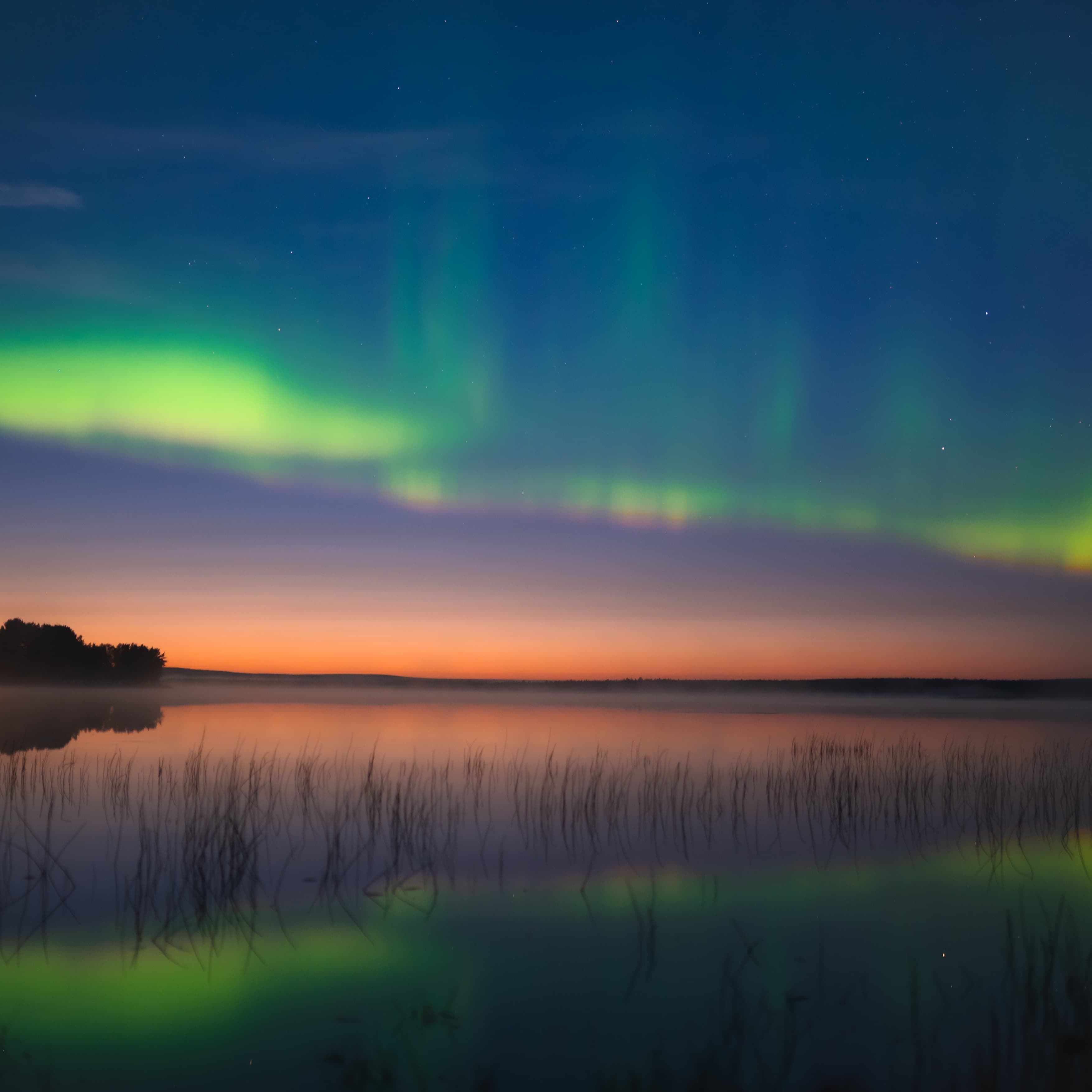 The Magnificent Mystery (Autumn)