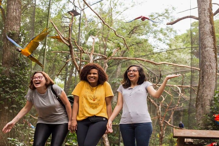 Iguazu Falls Brazilian Side & Bird Park from Puerto Iguazu