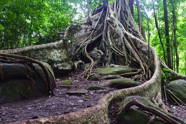 2 Days Wilds Khao Yai Trek and Wine Tour