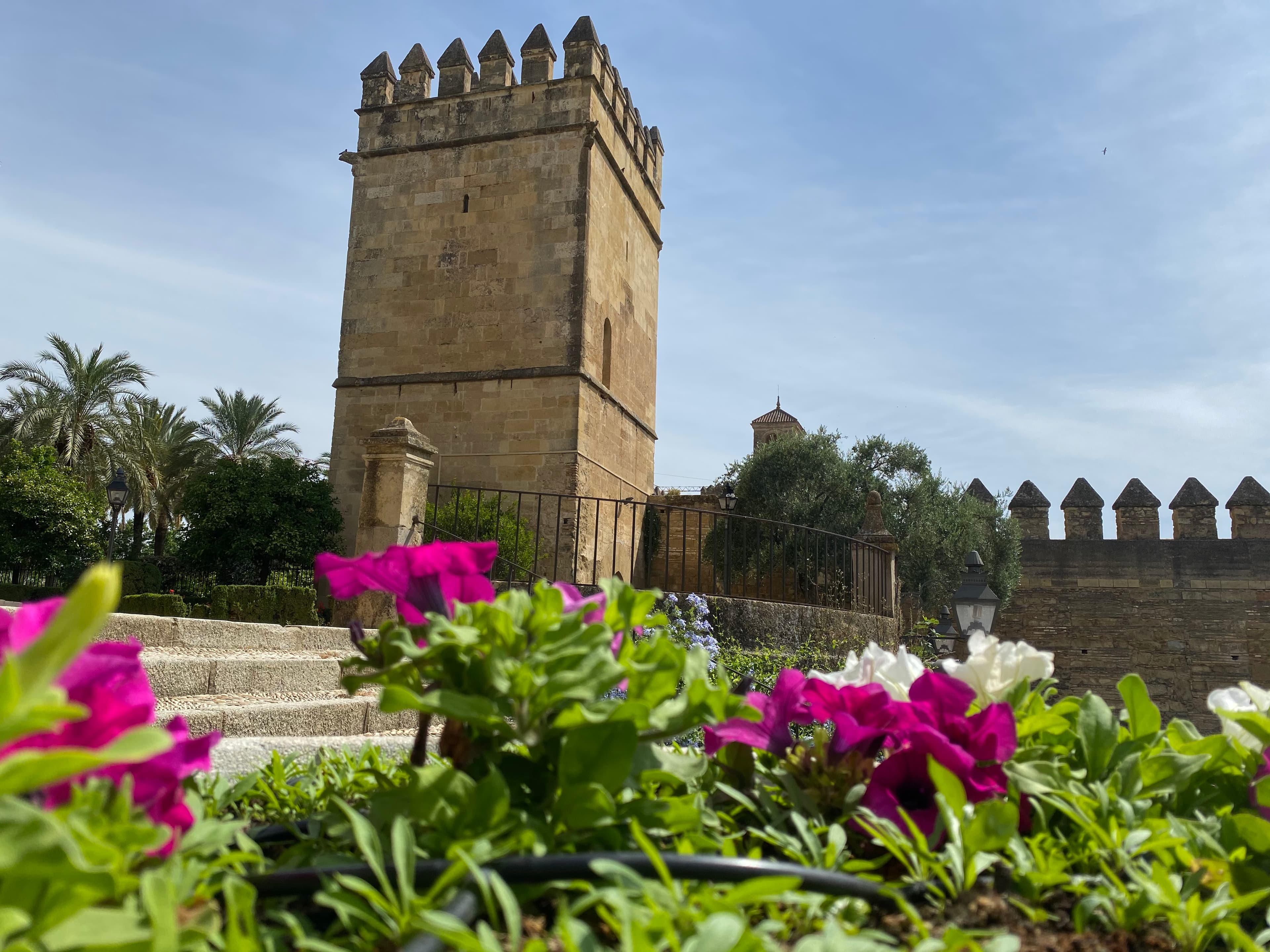 Visita guiada en español a los jardines del Alcázar de los Reyes Cristianos y a los Baños Califales. Incluye ticket
