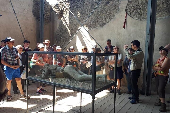 POMPEI RUINS guided tour with Transfer Service (ita/ spa/ engl/ french)