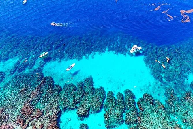 West Bay Aquarium Snorkeling, Chocolate & Rum Factory, City Tour plus Transfer