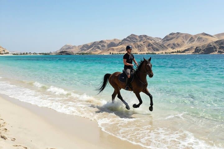 2 Hour Horseback Ride in Nabq Bay