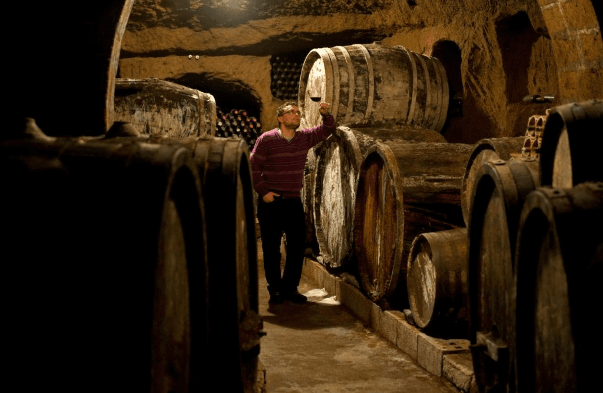 Wine Tasting with Food and Tufa Cellar Visit in Orvieto