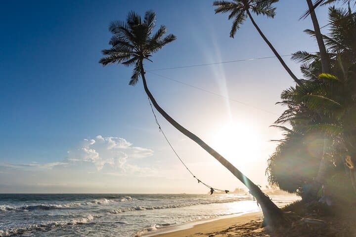 Southern Sri Lanka Day tour from Hambantota