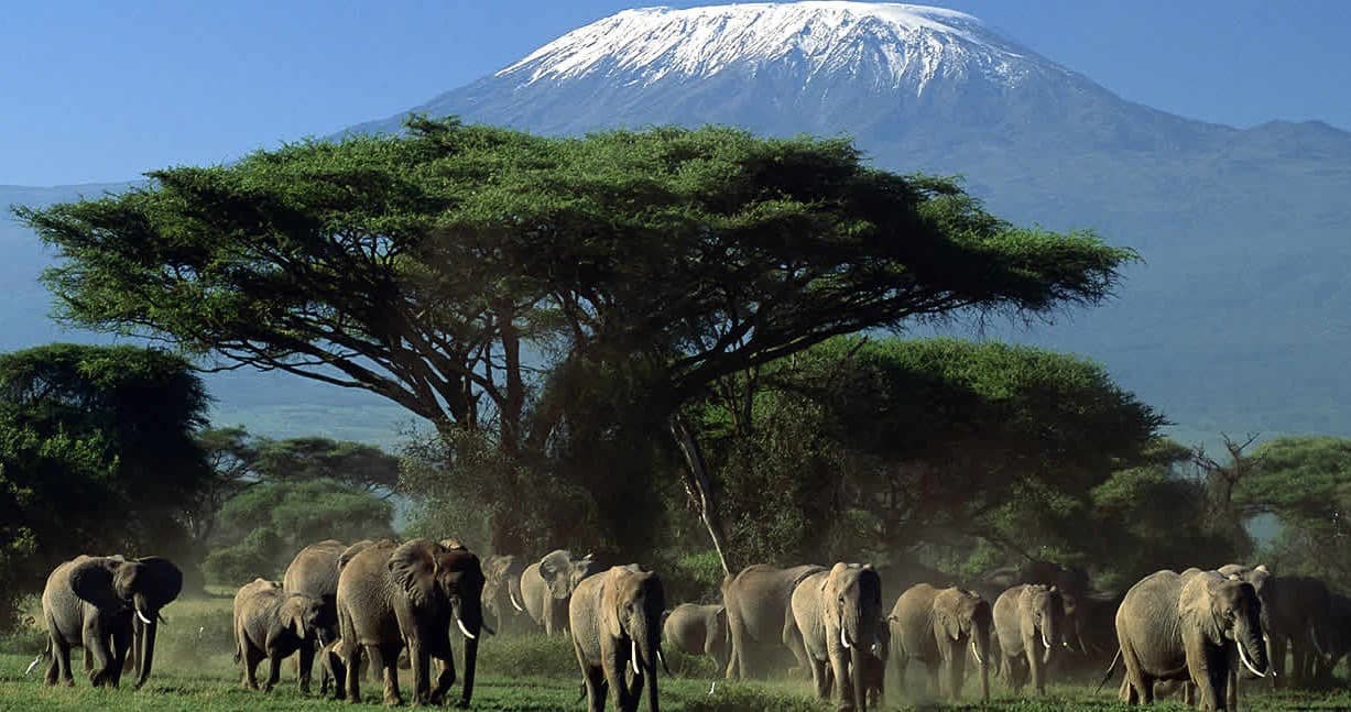 5 Days South of Kenya Safari