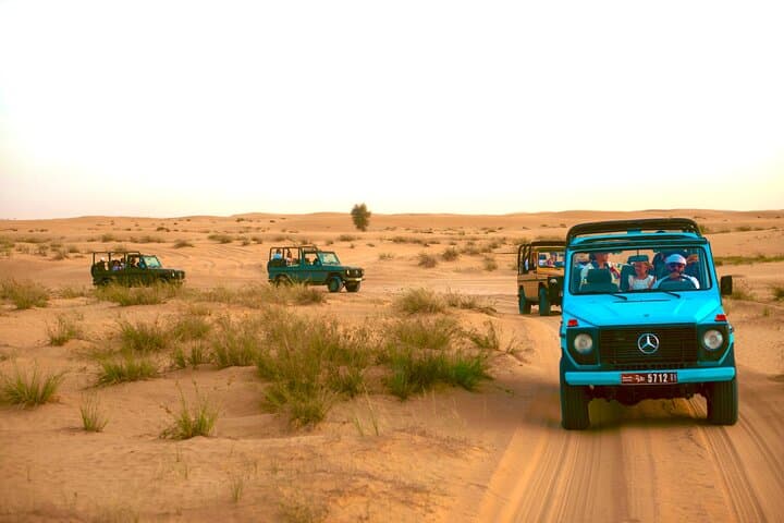 Dubai Heritage Safari in Vintage Land Rover Al Marmoom Oasis