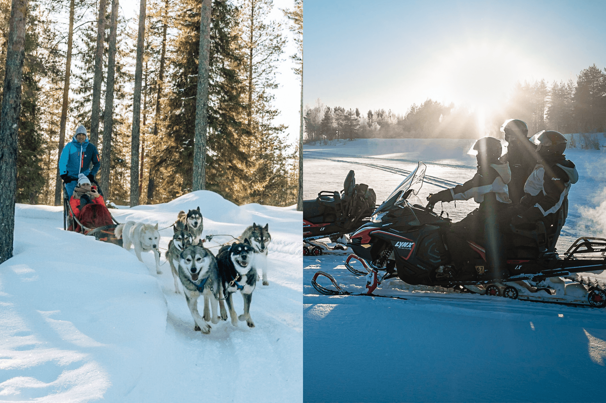 Thrilling Day with Siberian Huskies and Snowmobile Safari (Small-Group)