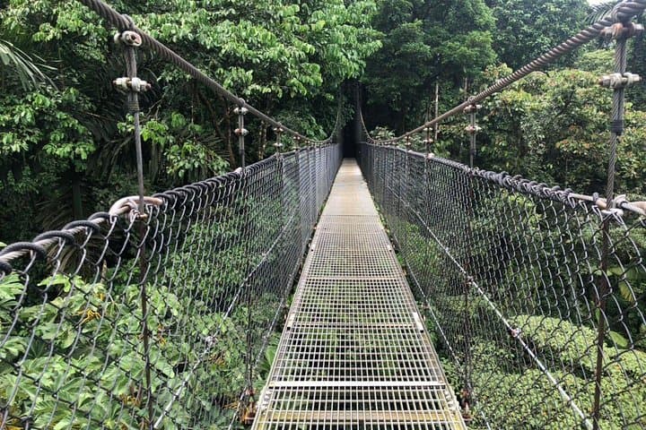 Puntarenas Shore Excursion: Rainforest Hanging Bridges, Skywalk Tour & Boat Tour